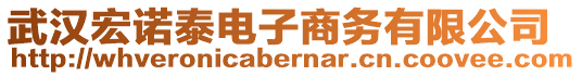 武漢宏諾泰電子商務(wù)有限公司