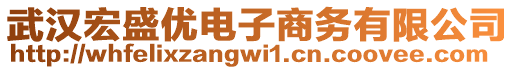 武漢宏盛優(yōu)電子商務(wù)有限公司