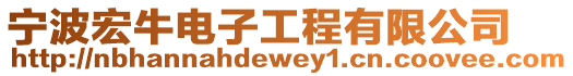 寧波宏牛電子工程有限公司