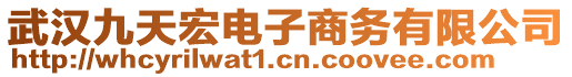 武漢九天宏電子商務(wù)有限公司