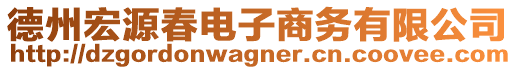 德州宏源春電子商務(wù)有限公司