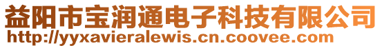 益陽市寶潤通電子科技有限公司