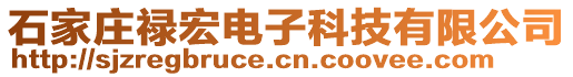 石家莊祿宏電子科技有限公司