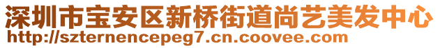 深圳市宝安区新桥街道尚艺美发中心