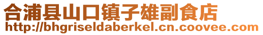 合浦县山口镇子雄副食店