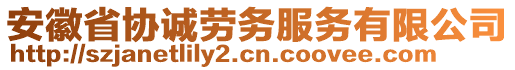 安徽省协诚劳务服务有限公司