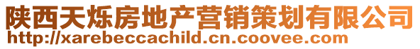 陜西天爍房地產營銷策劃有限公司