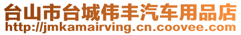 臺山市臺城偉豐汽車用品店