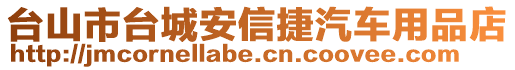 臺山市臺城安信捷汽車用品店