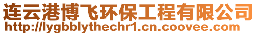 連云港博飛環(huán)保工程有限公司
