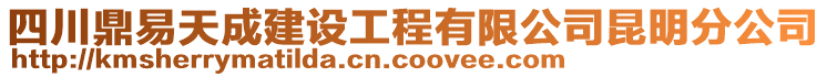 四川鼎易天成建設(shè)工程有限公司昆明分公司