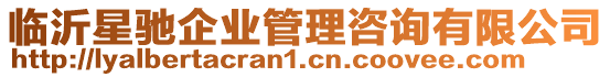 臨沂星馳企業(yè)管理咨詢有限公司