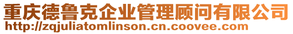 重慶德魯克企業(yè)管理顧問有限公司