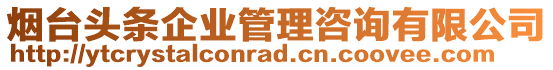 煙臺(tái)頭條企業(yè)管理咨詢(xún)有限公司