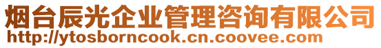 煙臺辰光企業管理咨詢有限公司