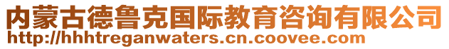內(nèi)蒙古德魯克國際教育咨詢有限公司