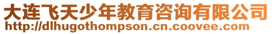 大連飛天少年教育咨詢有限公司