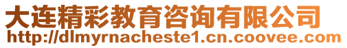 大連精彩教育咨詢有限公司