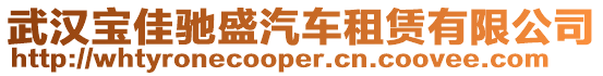 武漢寶佳馳盛汽車租賃有限公司