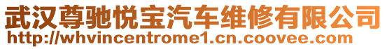 武漢尊馳悅寶汽車維修有限公司