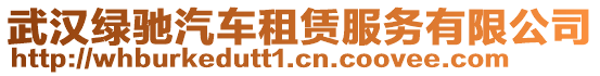 武漢綠馳汽車租賃服務有限公司
