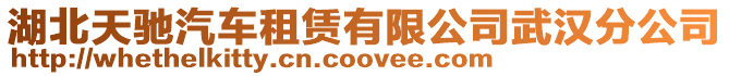 湖北天馳汽車租賃有限公司武漢分公司
