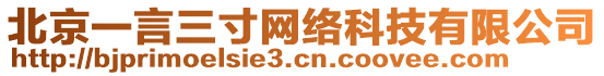 北京一言三寸網(wǎng)絡(luò)科技有限公司