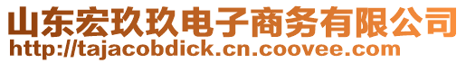 山東宏玖玖電子商務(wù)有限公司