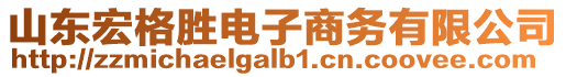 山東宏格勝電子商務(wù)有限公司