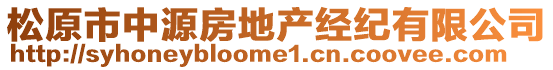 松原市中源房地產經紀有限公司
