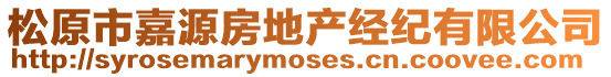 松原市嘉源房地產經紀有限公司