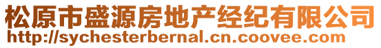 松原市盛源房地產經紀有限公司
