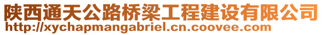 陜西通天公路橋梁工程建設(shè)有限公司