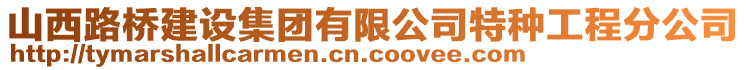 山西路橋建設(shè)集團(tuán)有限公司特種工程分公司