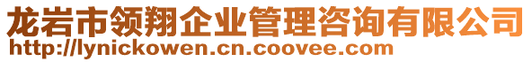 龍巖市領(lǐng)翔企業(yè)管理咨詢有限公司