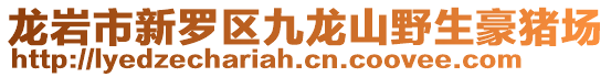 龍巖市新羅區(qū)九龍山野生豪豬場