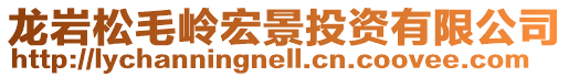 龍巖松毛嶺宏景投資有限公司