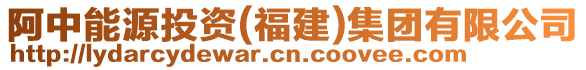 阿中能源投資(福建)集團有限公司