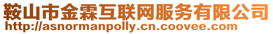 鞍山市金霖互聯(lián)網(wǎng)服務(wù)有限公司
