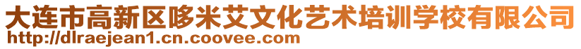 大連市高新區(qū)哆米艾文化藝術培訓學校有限公司