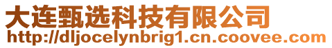 大連甄選科技有限公司