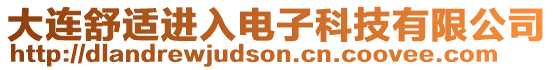 大連舒適進(jìn)入電子科技有限公司