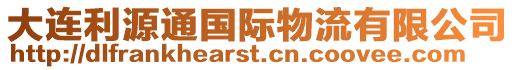 大連利源通國際物流有限公司