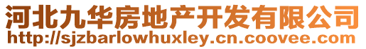 河北九華房地產(chǎn)開發(fā)有限公司