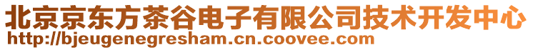 北京京東方茶谷電子有限公司技術(shù)開發(fā)中心