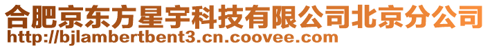 合肥京東方星宇科技有限公司北京分公司