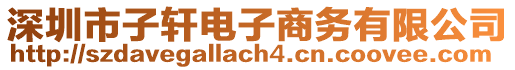 深圳市子軒電子商務(wù)有限公司