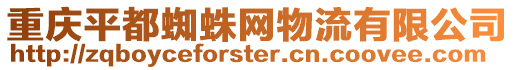 重慶平都蜘蛛網物流有限公司