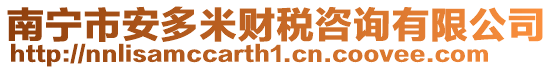 南寧市安多米財(cái)稅咨詢有限公司