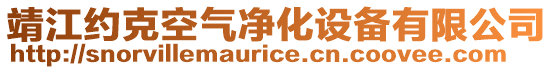 靖江約克空氣凈化設備有限公司